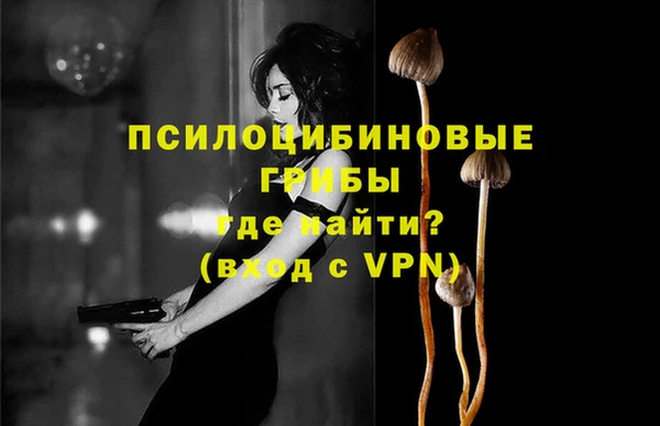 не бодяженный Абдулино