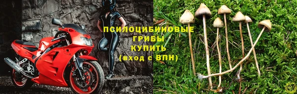 кокаин колумбия Алзамай