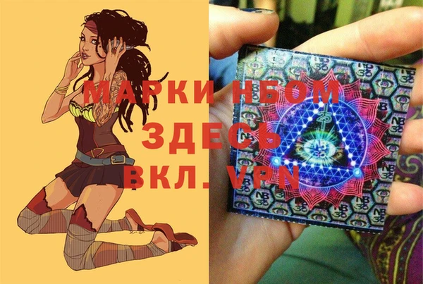 гашик Алексеевка