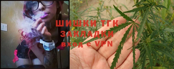 гашик Алексеевка